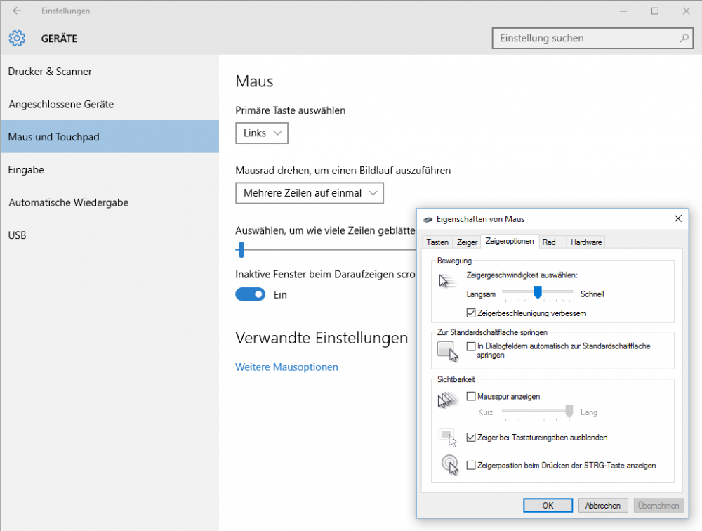 Zeigeroptionen in Windows 10