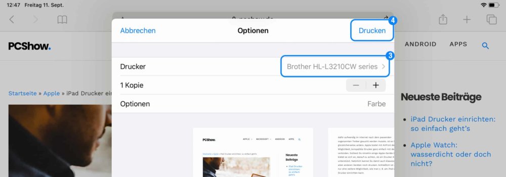 iPad Drucker auswählen