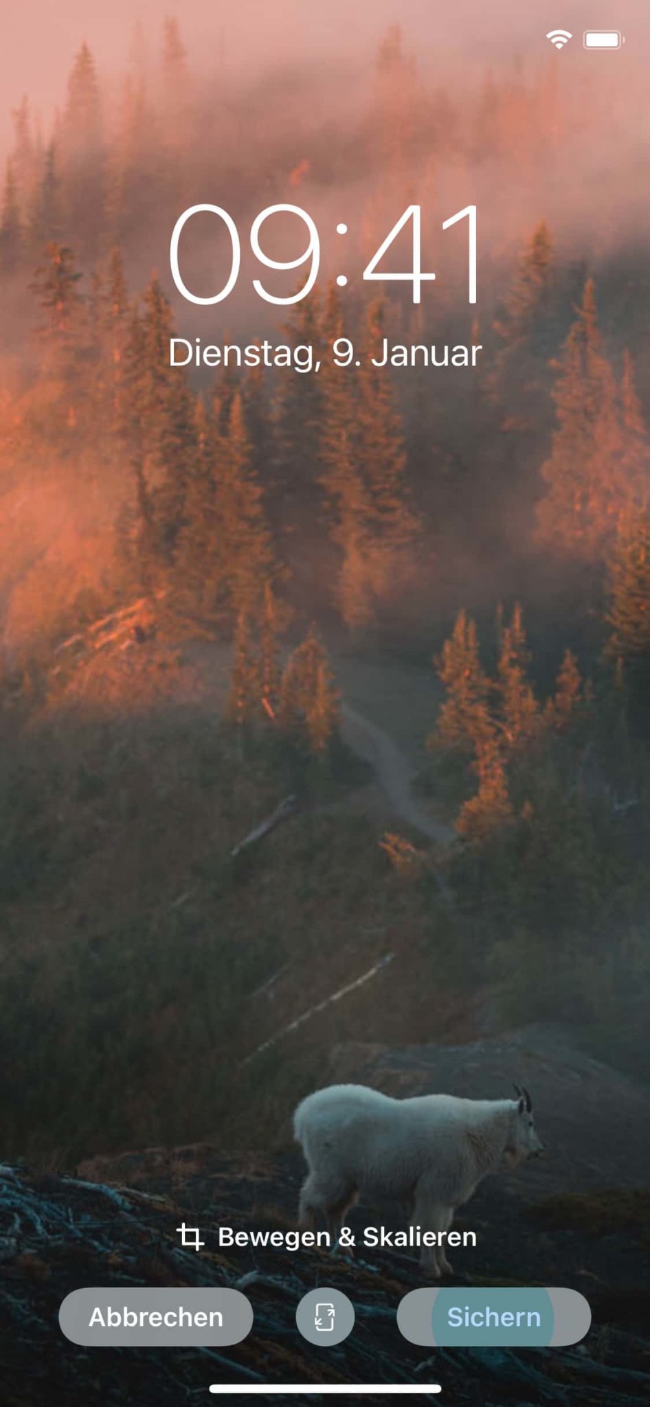 iPhone Hintergrundbild ändern Anleitung für Anfänger PCShow.de