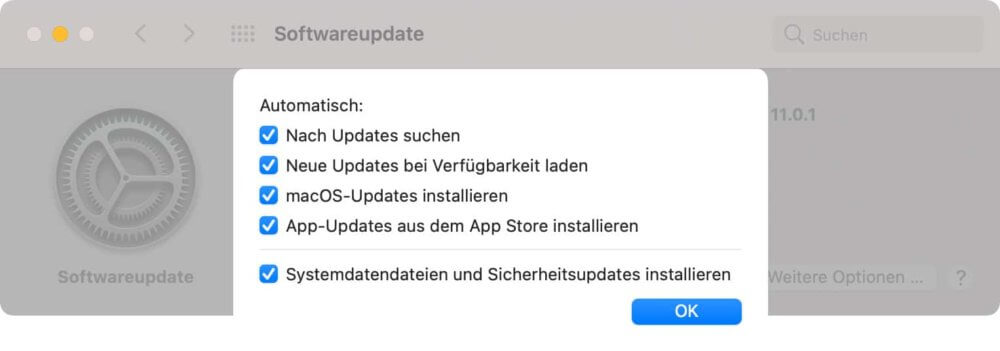 Optionen zum MacBook Update installieren