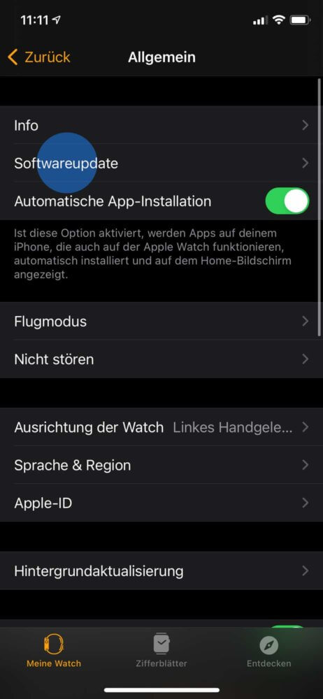 Softwareupdates für Apple Watch Update auswählen