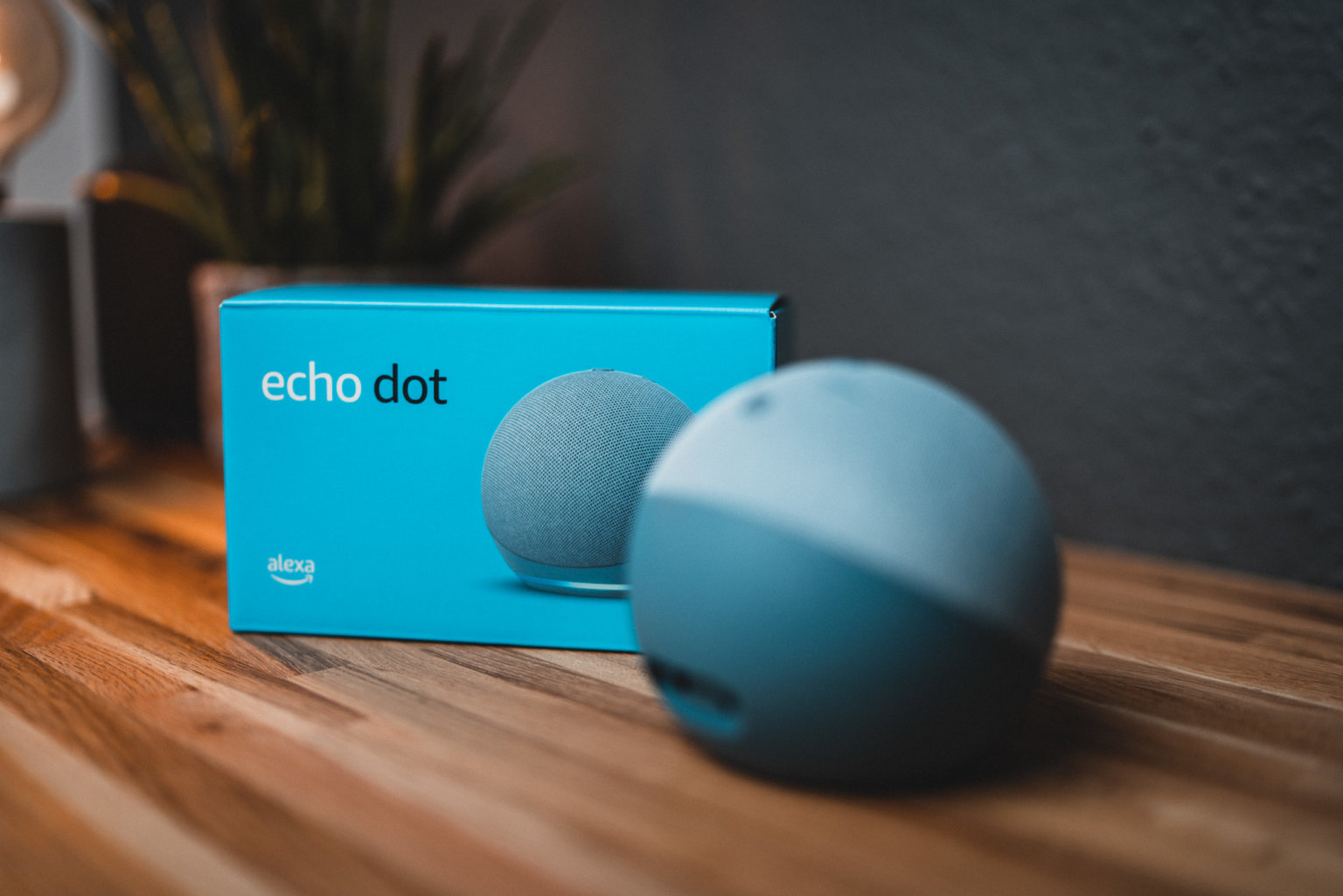 Alexa Reagiert Spielt Aber Keine Musik Alexa einrichten – so geht es ganz einfach! - PCShow.de