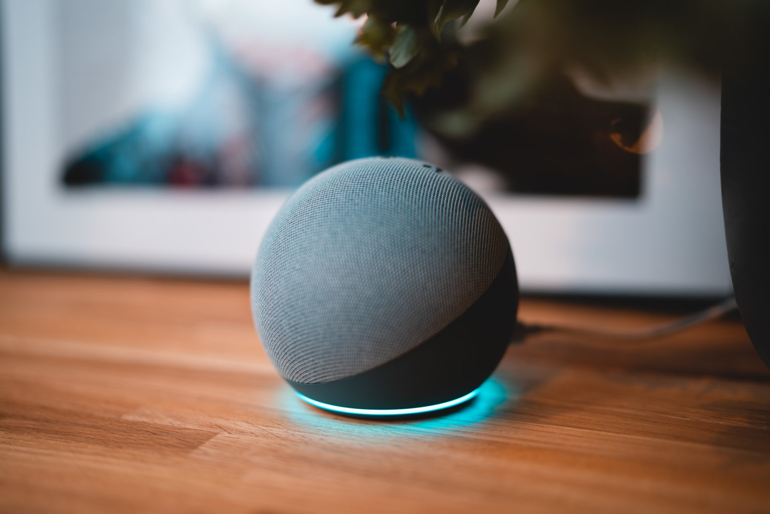 Alexa Gerät reagiert nicht Das kannst du tun! PCShow.de