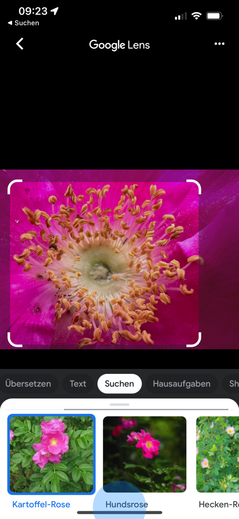 BILDERSUCHE GOOGLE IPHONE visual data 5