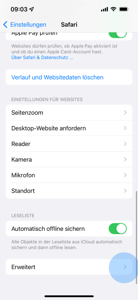 In die Safari Einstellungen gehen