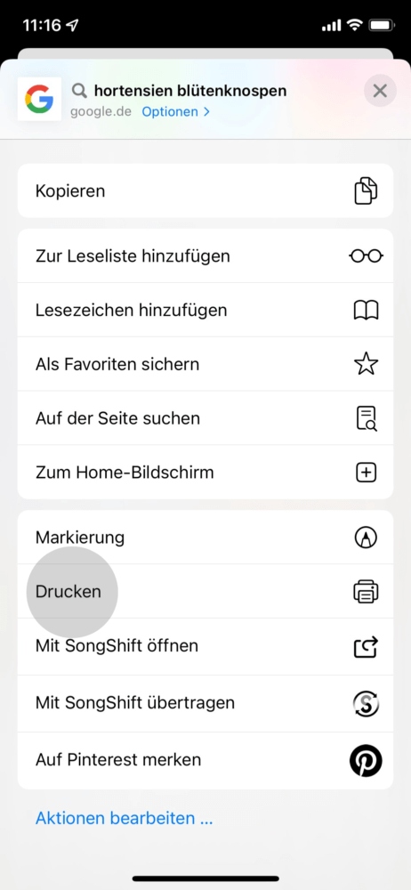 Wähle die Drucken-Option in dem Menu am iPhone oder iPad aus, um ein Foto in PDF umwandeln zu können