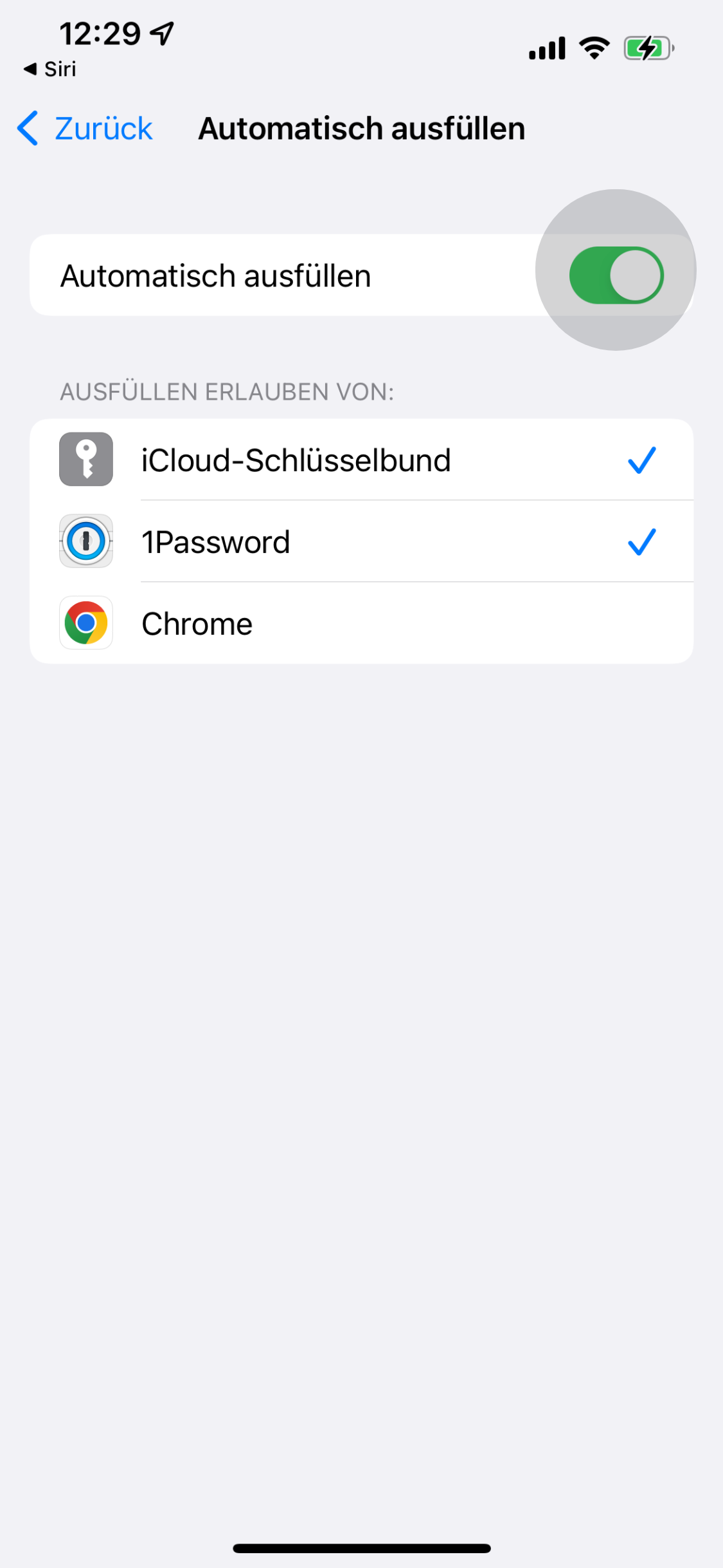 iPhone Passwörter anzeigen So findest du sie! PCShow.de